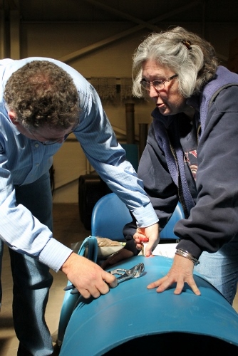 Rain Barrel 2014 (19)